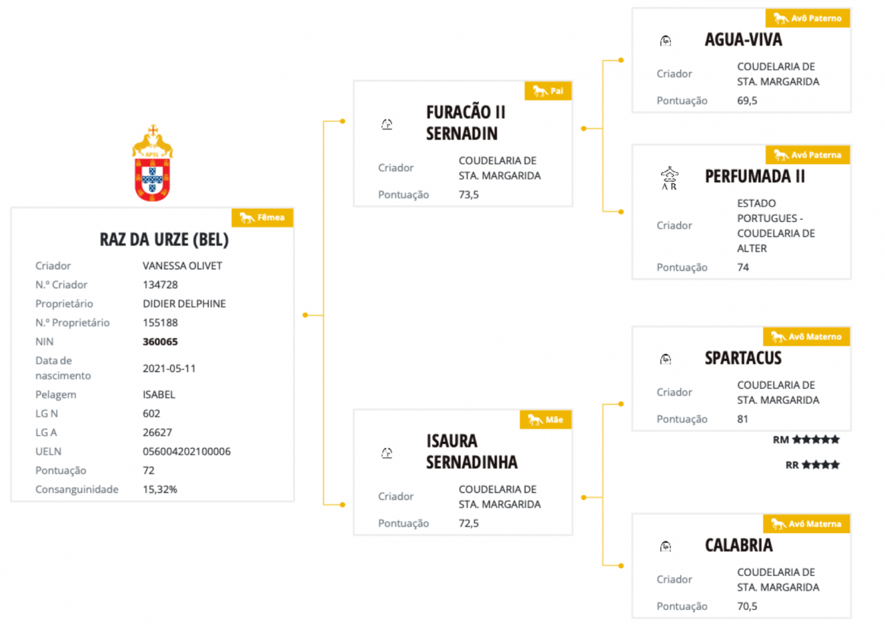 Mare Lusitano For sale 2021 Grey