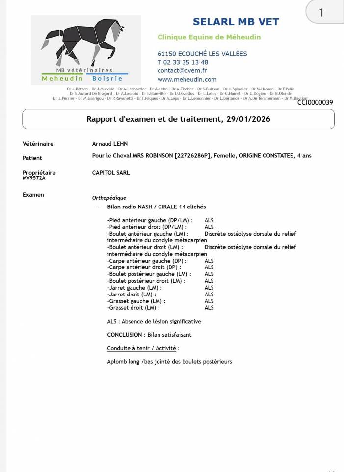 Mare Origin Recorded For sale 2022 Grey