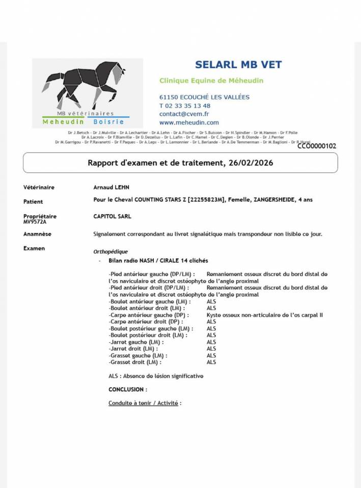 Mare Zangersheide For sale 2022 Bay