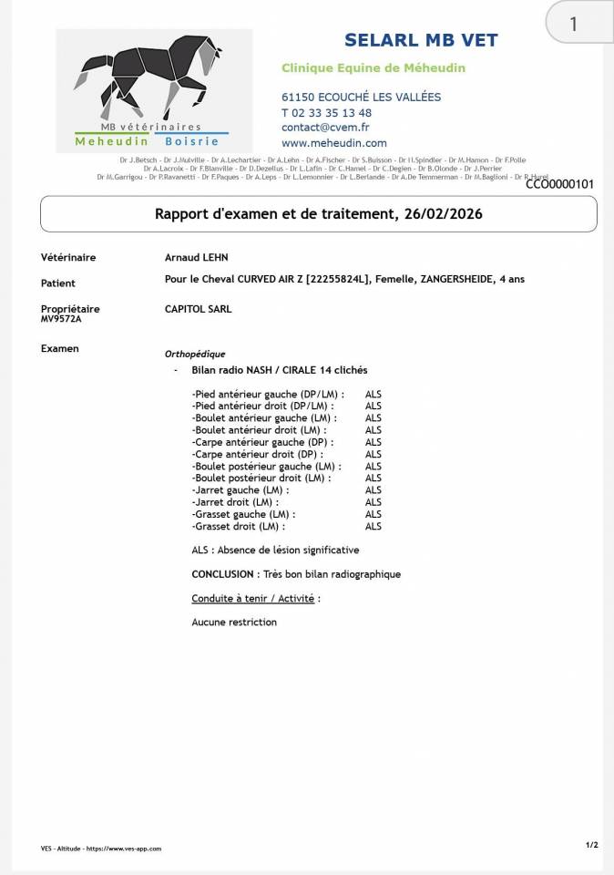 Mare Zangersheide For sale 2022 Bay