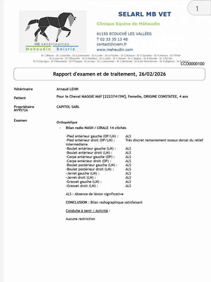 Mare Origin Recorded For sale 2022 Grey