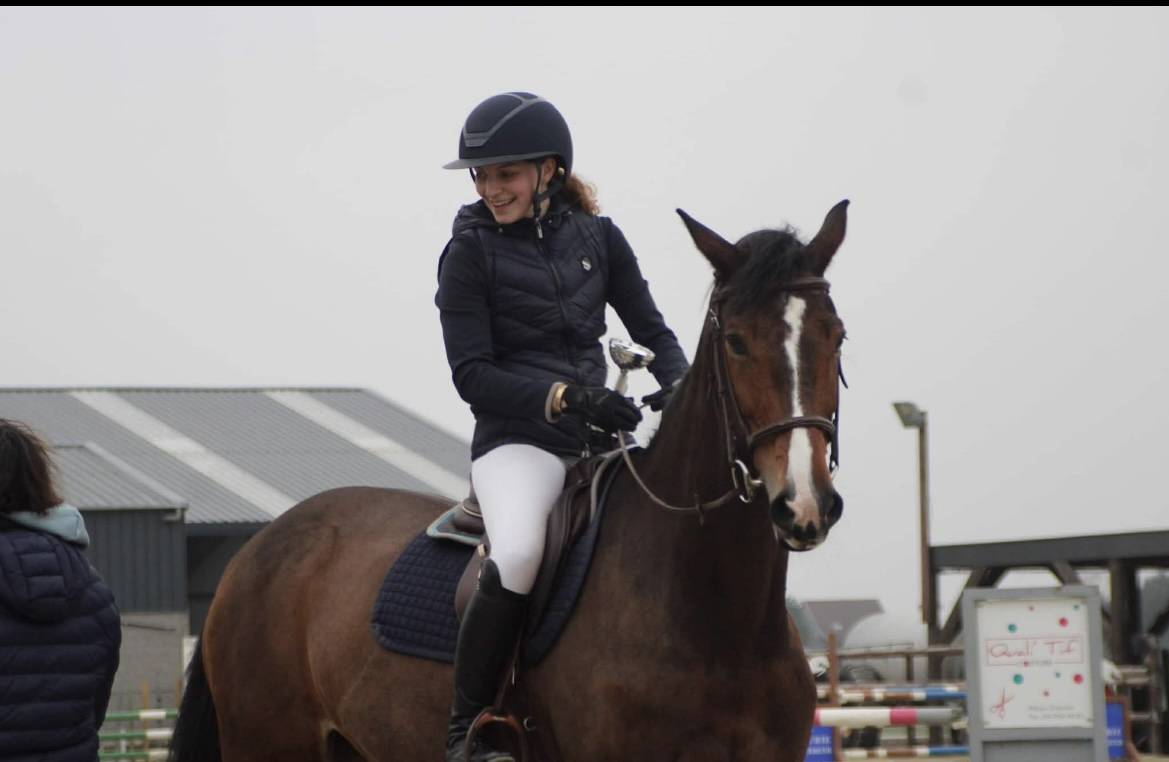 Mare KWPN Dutch Warmblood For sale 2010 Bay