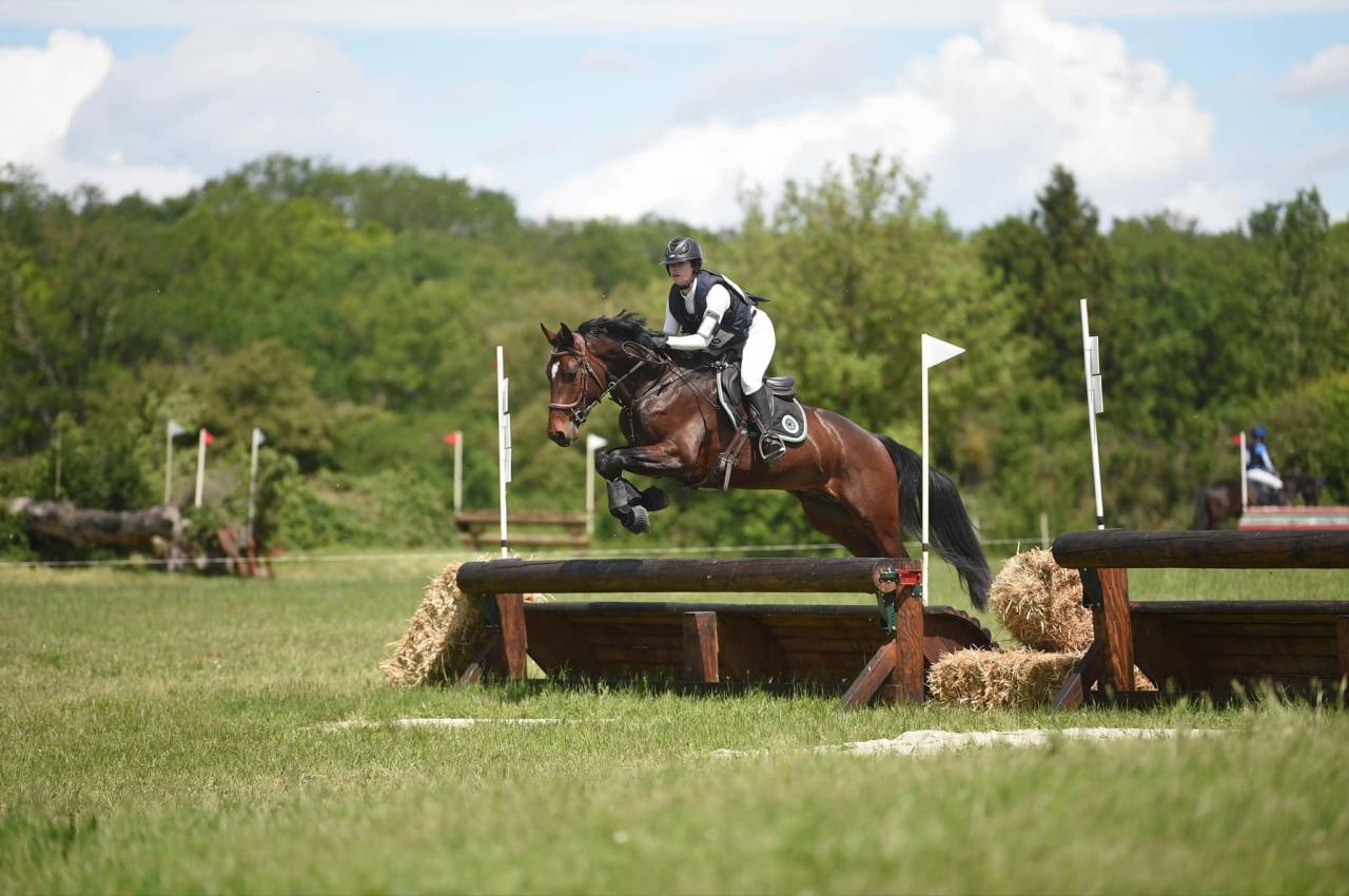 Entire Origin Recorded For sale 2020 Dark Bay