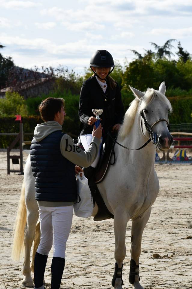 Gelding Connemara For sale 2011 Grey