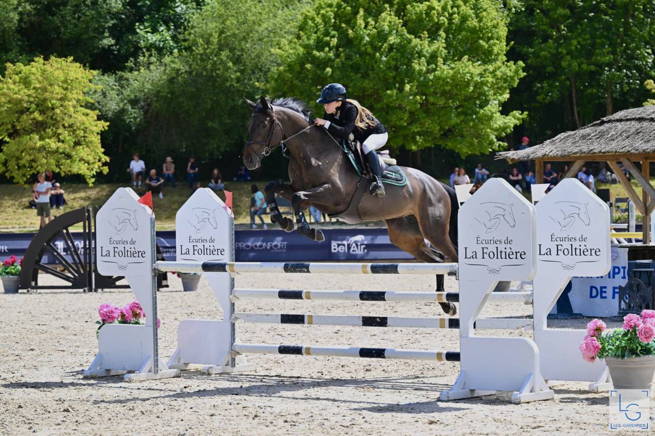 Mare Trakehner For sale 2016 Black