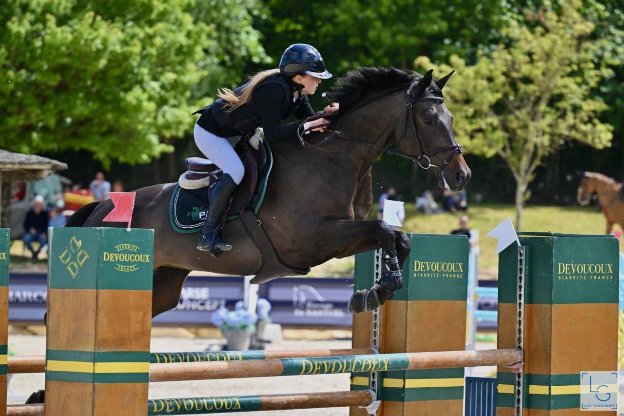 Mare Trakehner For sale 2016 Black