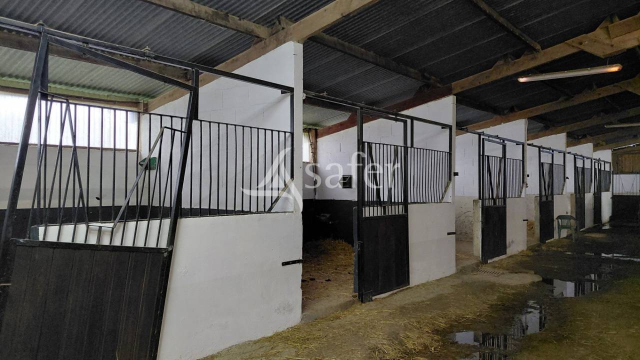 Equestrian property  Deux-S&egrave;vres
