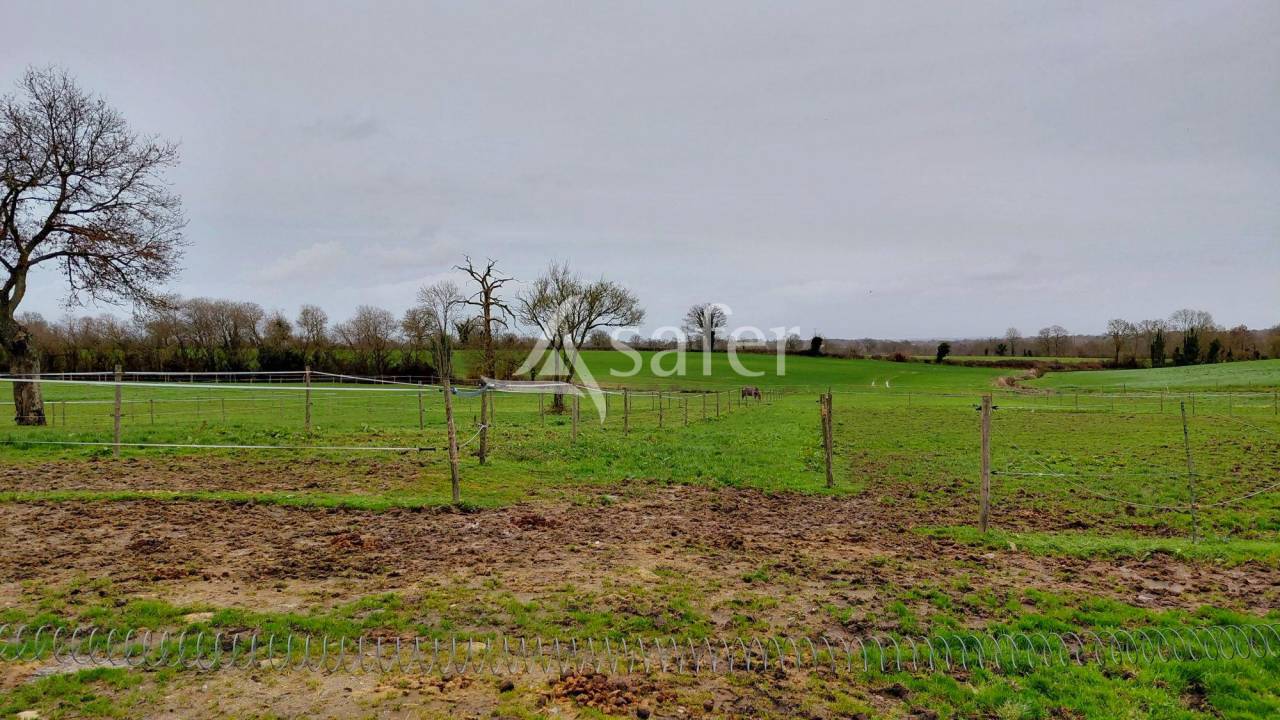 Equestrian property  Deux-S&egrave;vres