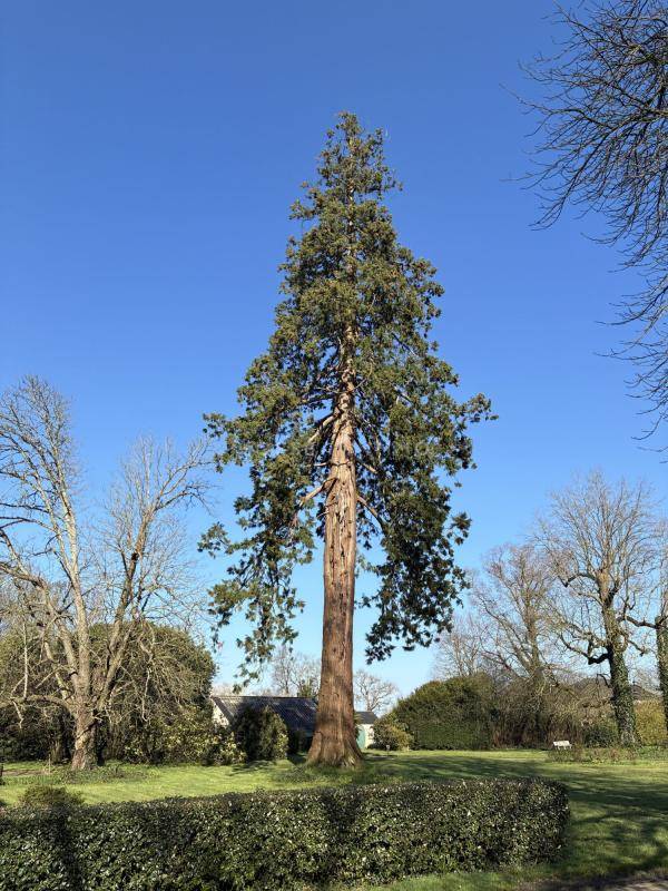 Luxurious equestrian property  Vend&eacute;e