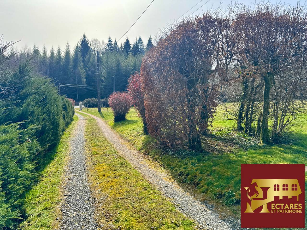 Equestrian property  Corr&egrave;ze