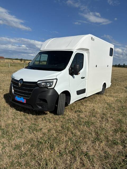 Horsebox HGV Renault MASTER 2021 New