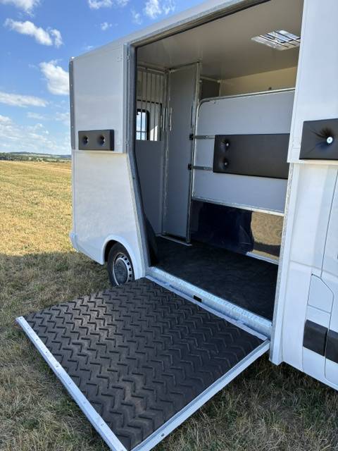 Horsebox HGV Renault MASTER 2021 New