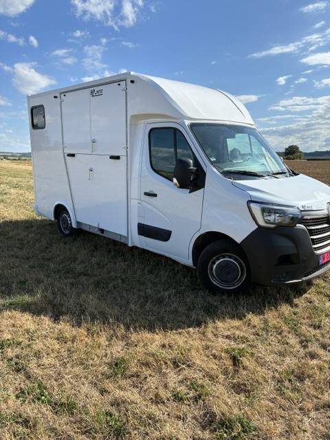 Horsebox HGV Renault MASTER 2021 New