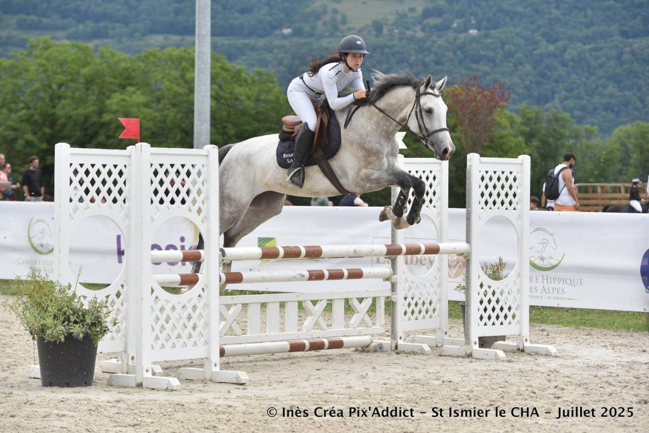 Mare Zangersheide For sale 2020 Grey