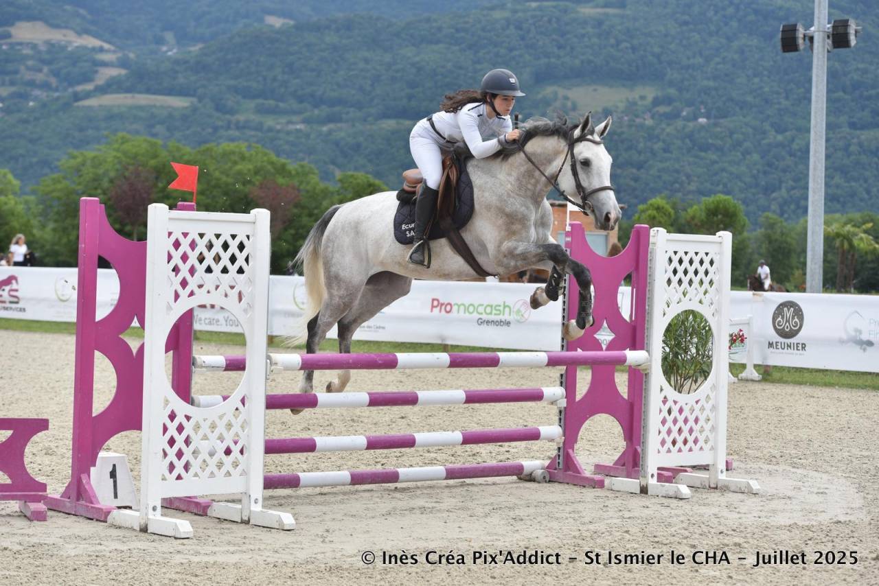 Mare Zangersheide For sale 2020 Grey