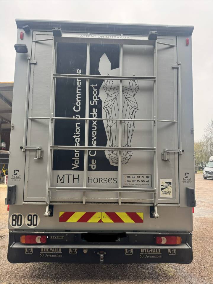 Horsebox NON-HGV Theault  2009 Used