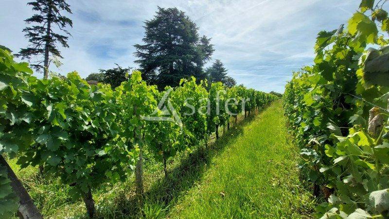 Other country property  Gironde