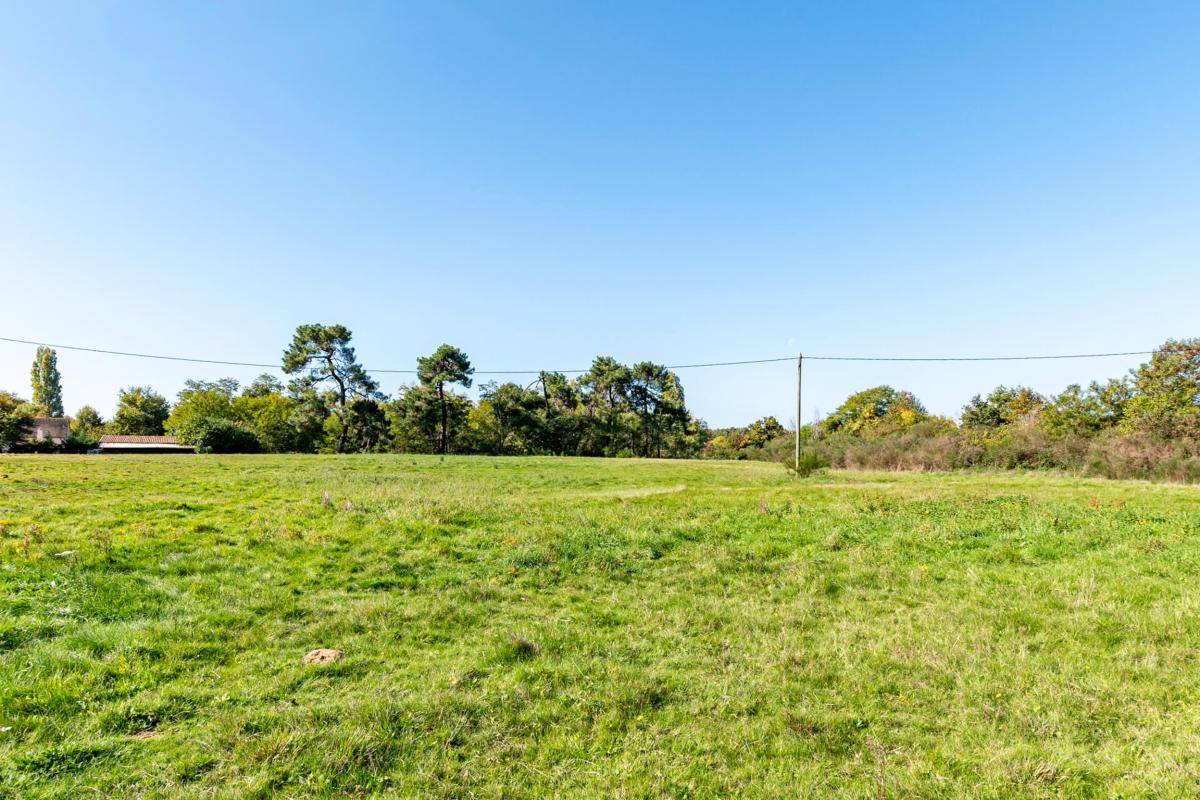 Equestrian property  Sarthe