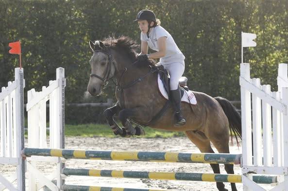 Mare French Saddle Pony For sale 2025 Buckskin