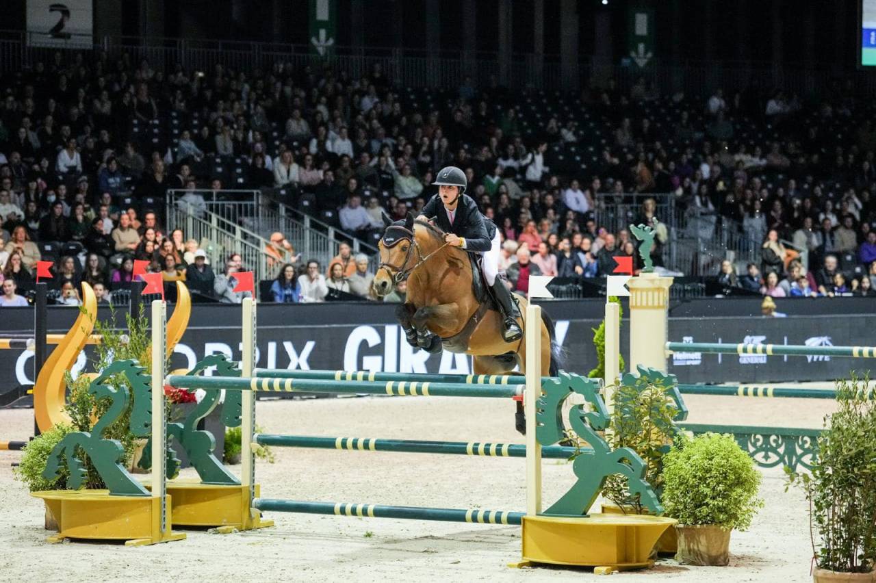 Mare French Saddle Pony For sale 2025 Buckskin