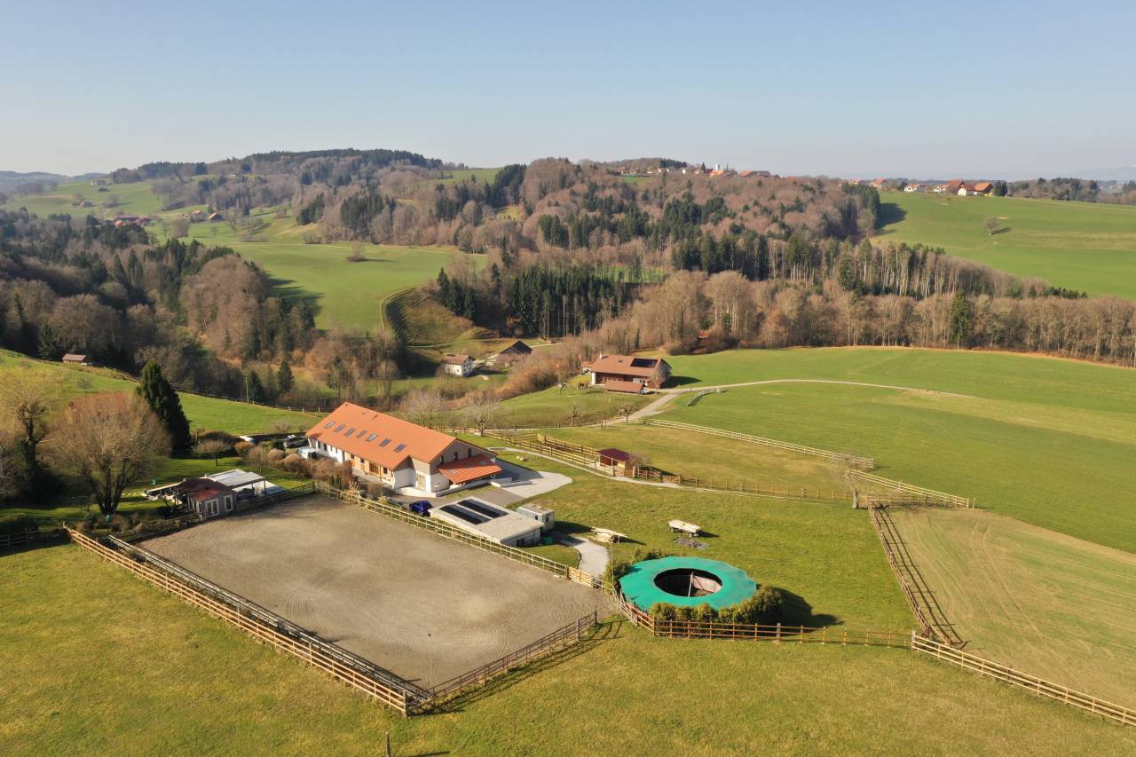 Equestrian farm  Fribourg