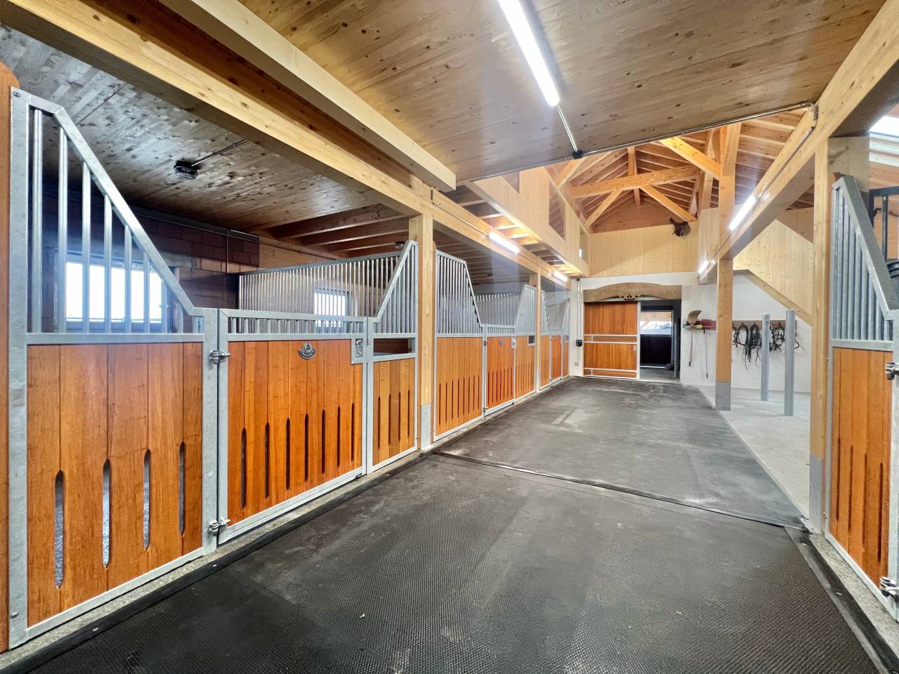 Equestrian farm  Fribourg