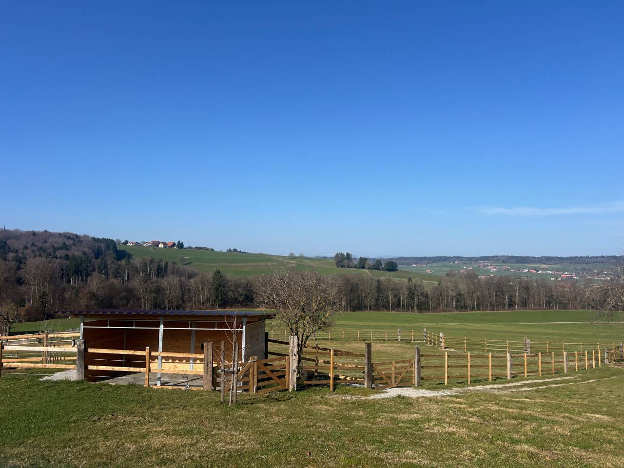 Equestrian farm  Fribourg