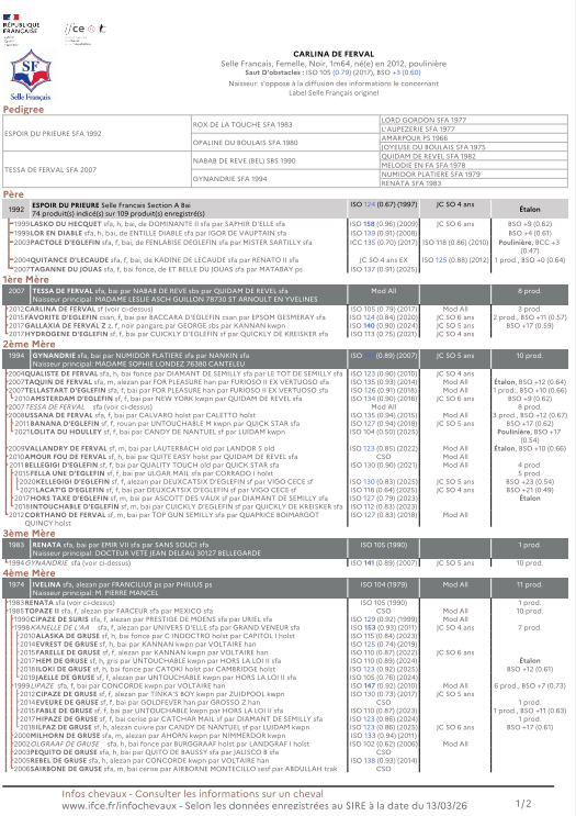 Mare Selle Fran&ccedil;ais For sale 2012 Black