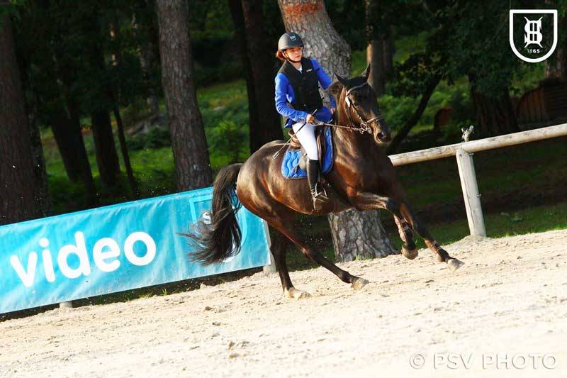 Mare Selle Fran&ccedil;ais For sale 2012 Black