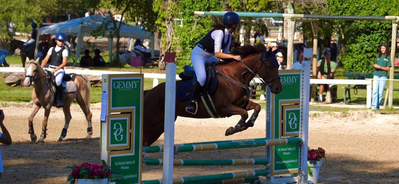 Mare Origin Recorded For sale 2017 Chesnut