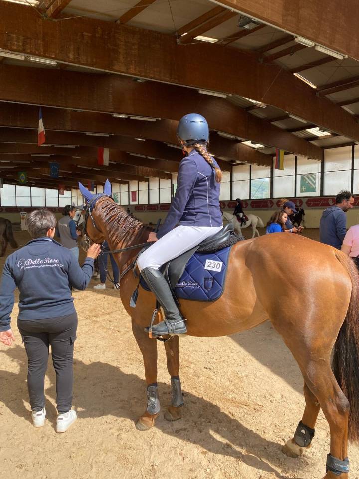 Mare Origin Recorded For sale 2017 Chesnut