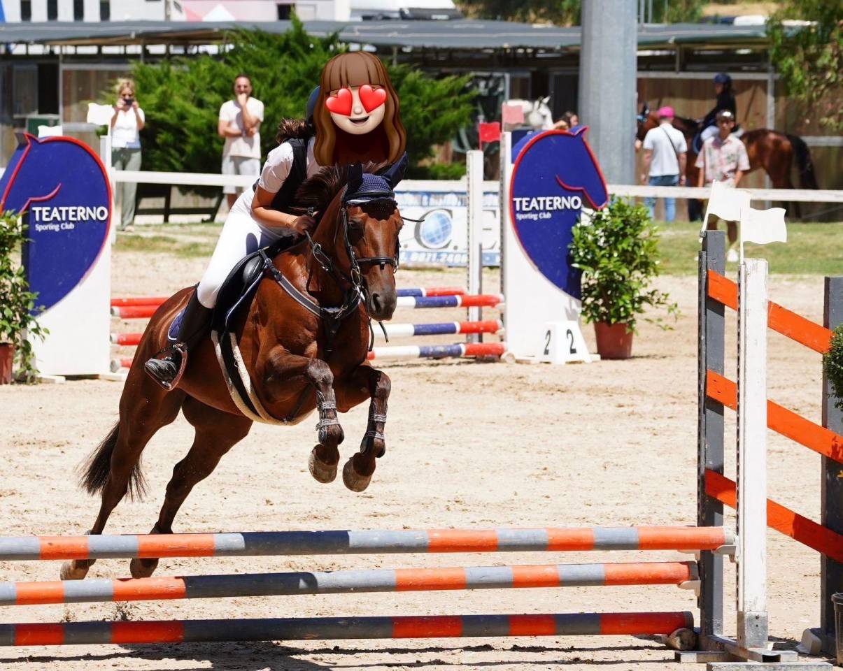 Mare Origin Recorded For sale 2017 Chesnut