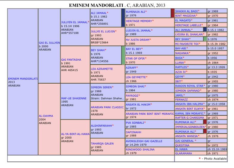 Eminem Mandorlati  - Arabian 2013 by Gai El Jullyen