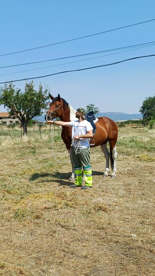 Duque - Sport Horse Of Color 2022