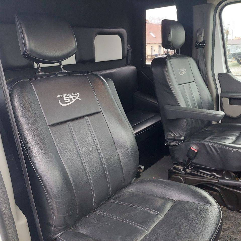 Horsebox HGV Opel Movano 2018 Used