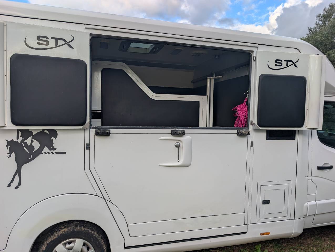 Horsebox HGV Opel Movano 2018 Used