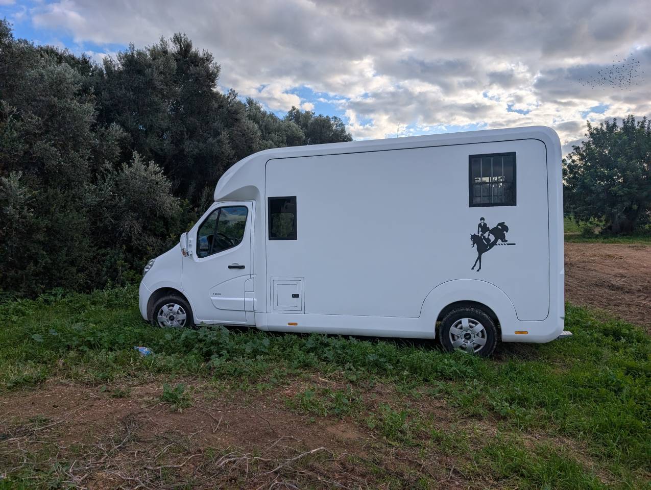 Horsebox HGV Opel Movano 2018 Used