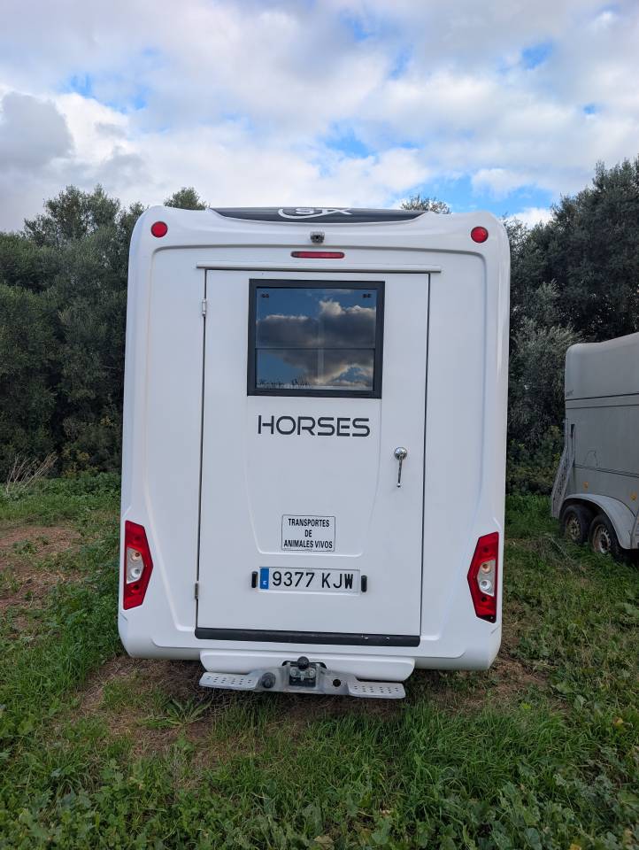 Horsebox HGV Opel Movano 2018 Used