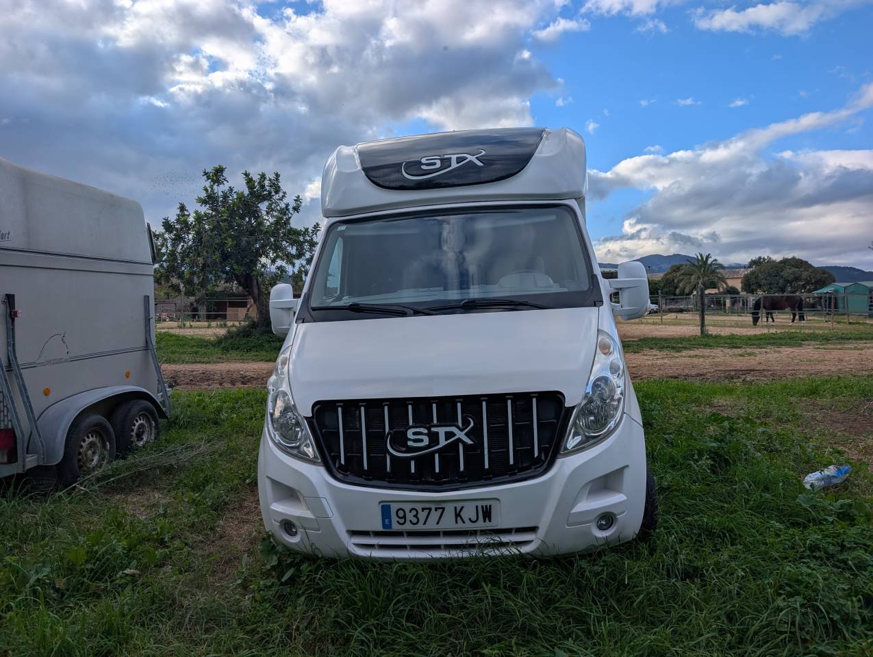 Horsebox HGV Opel Movano 2018 Used
