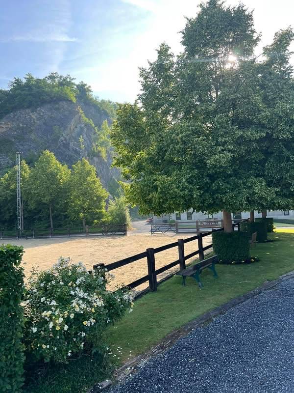 Groom, Stud - Temporary contract Full time - Li&egrave;ge Belgium