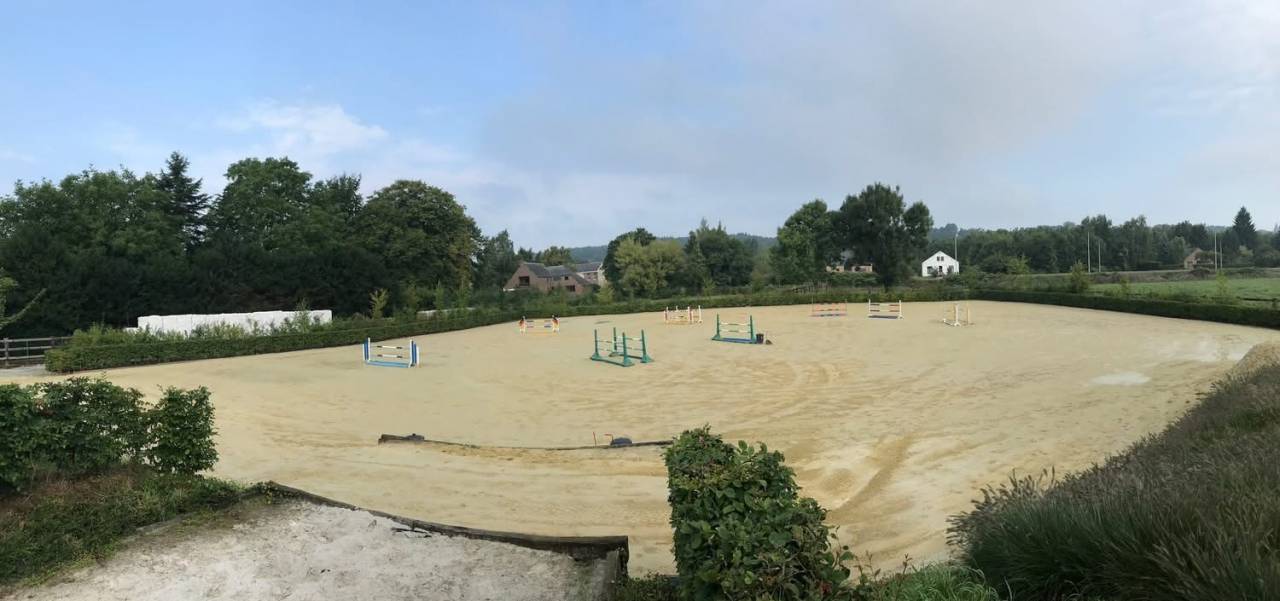 Groom, Stud - Temporary contract Full time - Li&egrave;ge Belgium