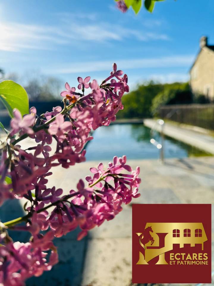 Equestrian property  Dordogne