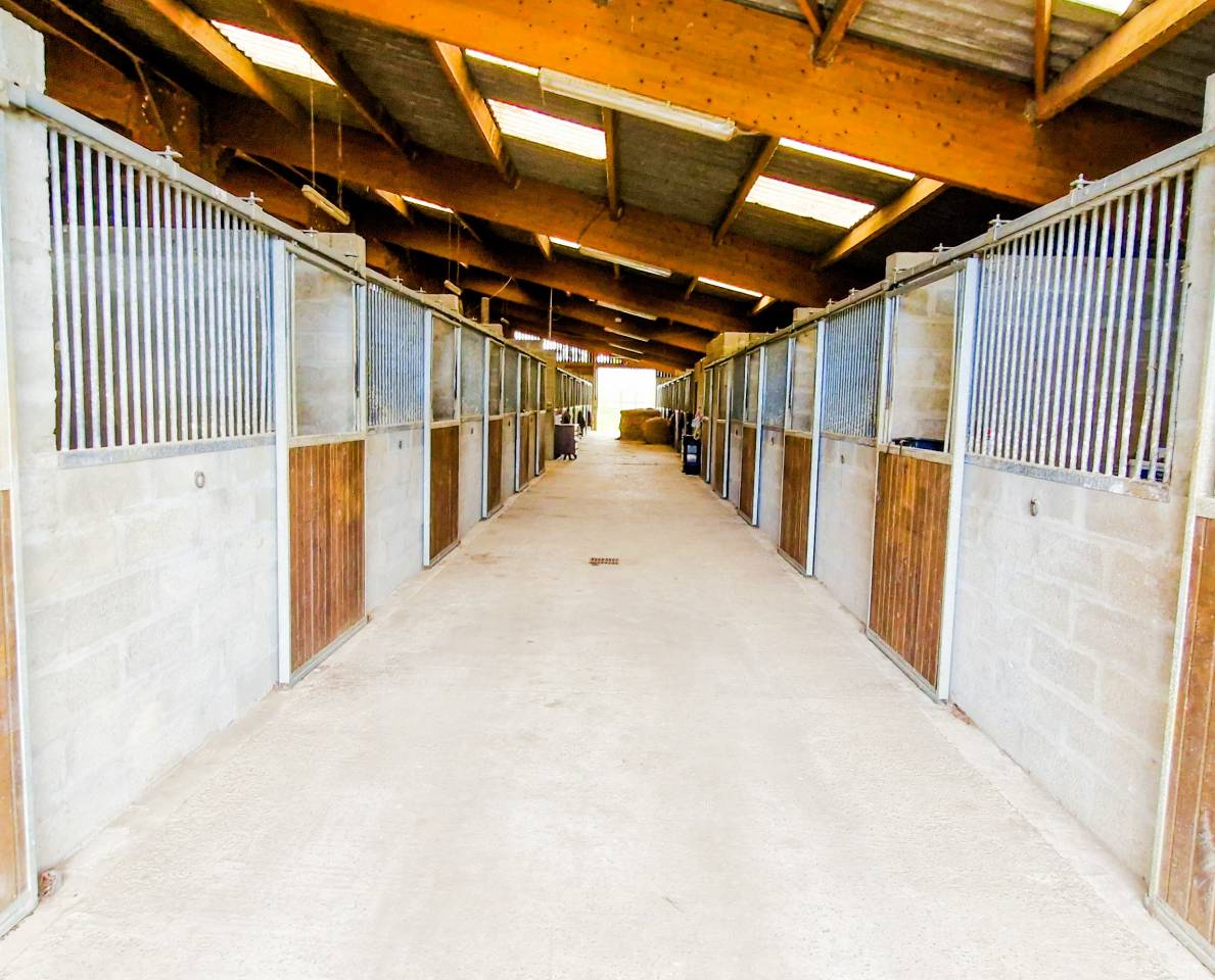 Equestrian property  Orne