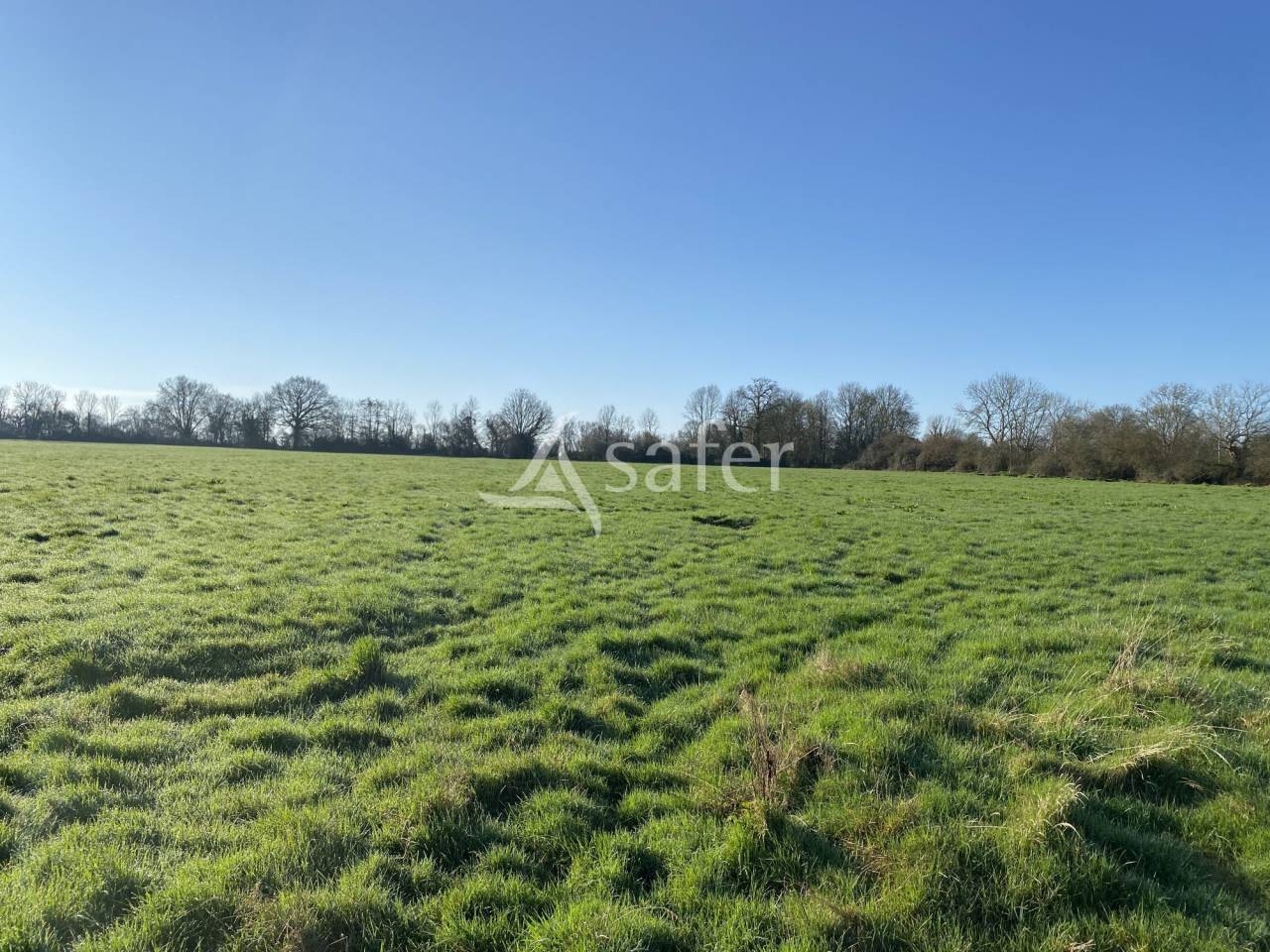 Other agricultural property  Calvados