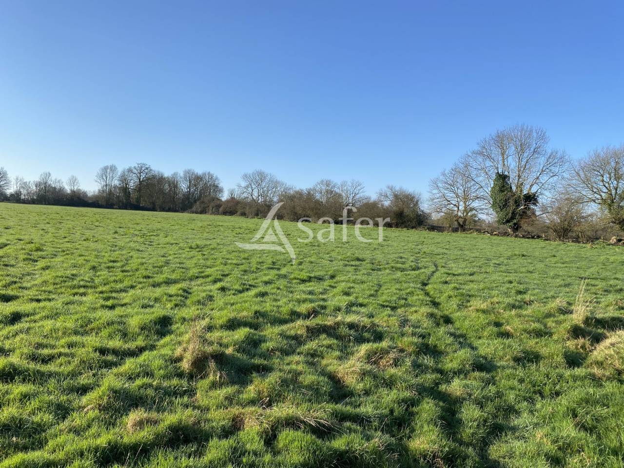 Other agricultural property  Calvados