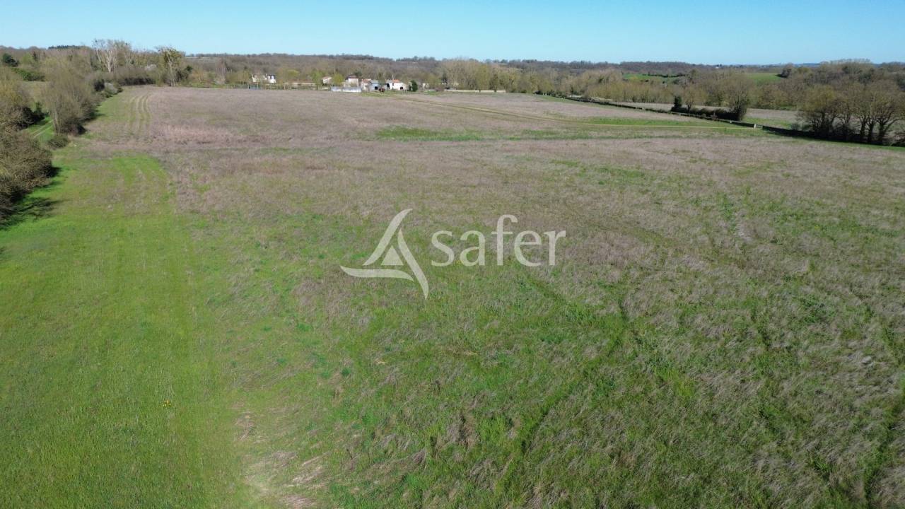 Sheep farm  Deux-S&egrave;vres