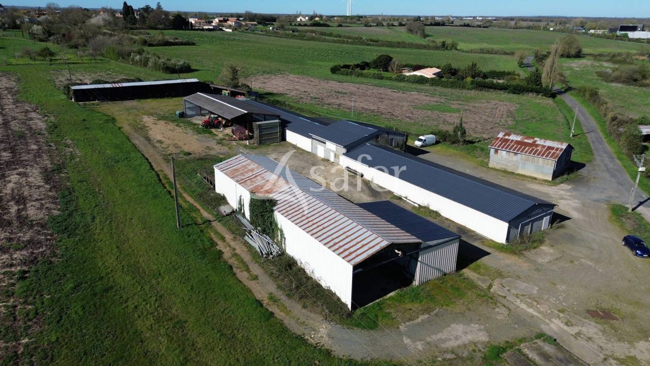 Sheep farm  Deux-S&egrave;vres