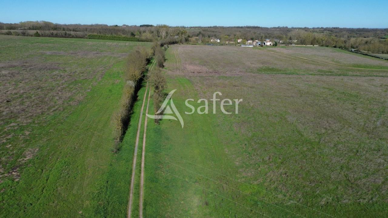 Sheep farm  Deux-S&egrave;vres