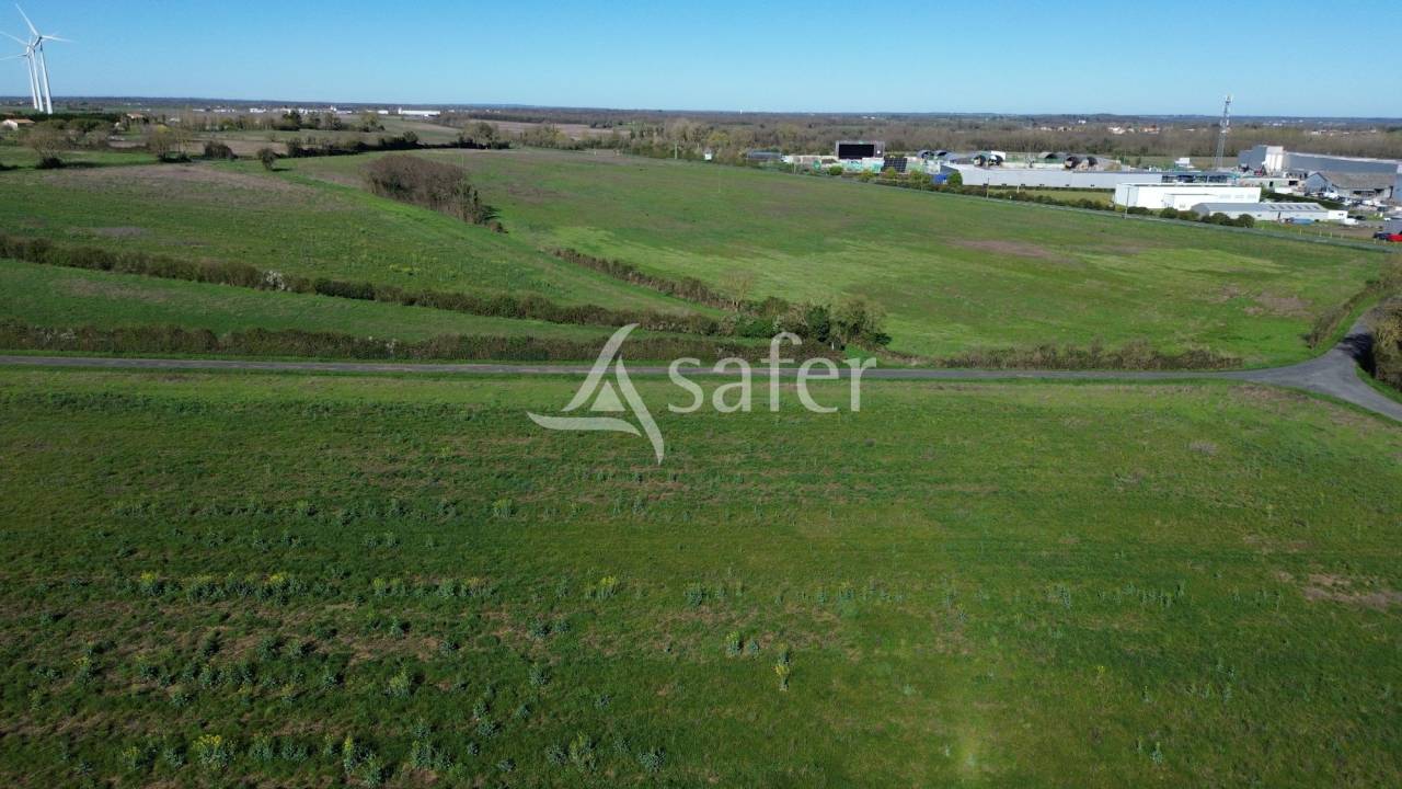 Sheep farm  Deux-S&egrave;vres