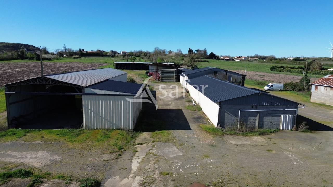 Sheep farm  Deux-S&egrave;vres